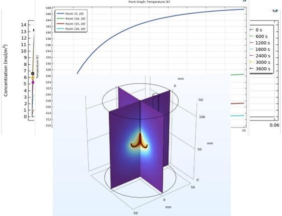 Rana Talha Khalid - Hepatic Cancer Therapy Model Simulation Project